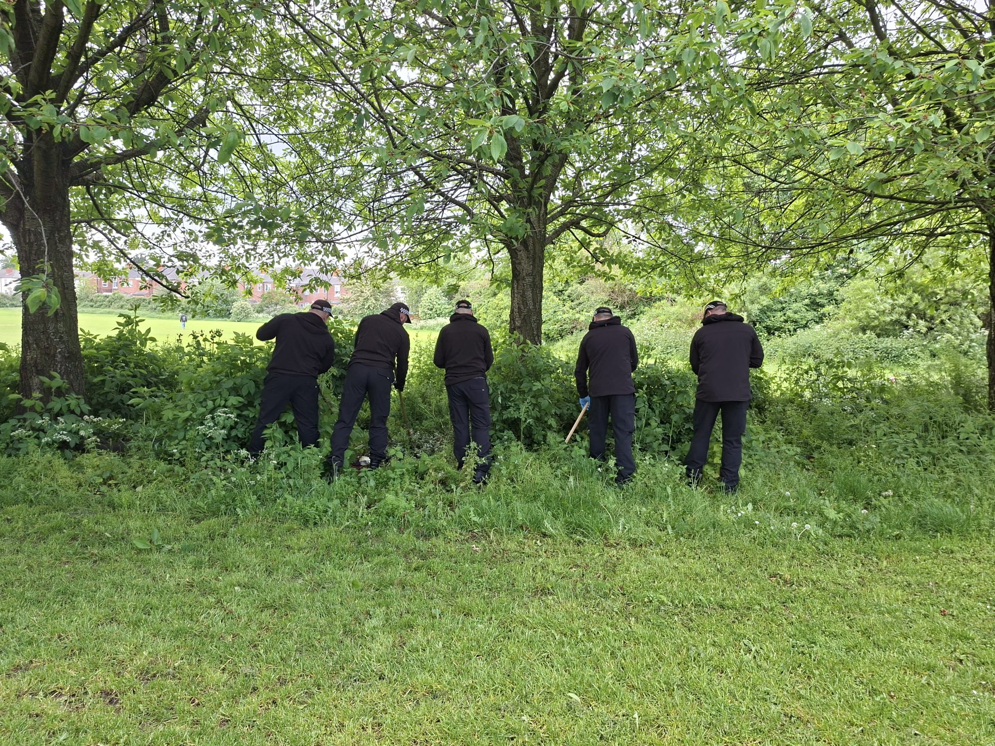 Police officers searching a field