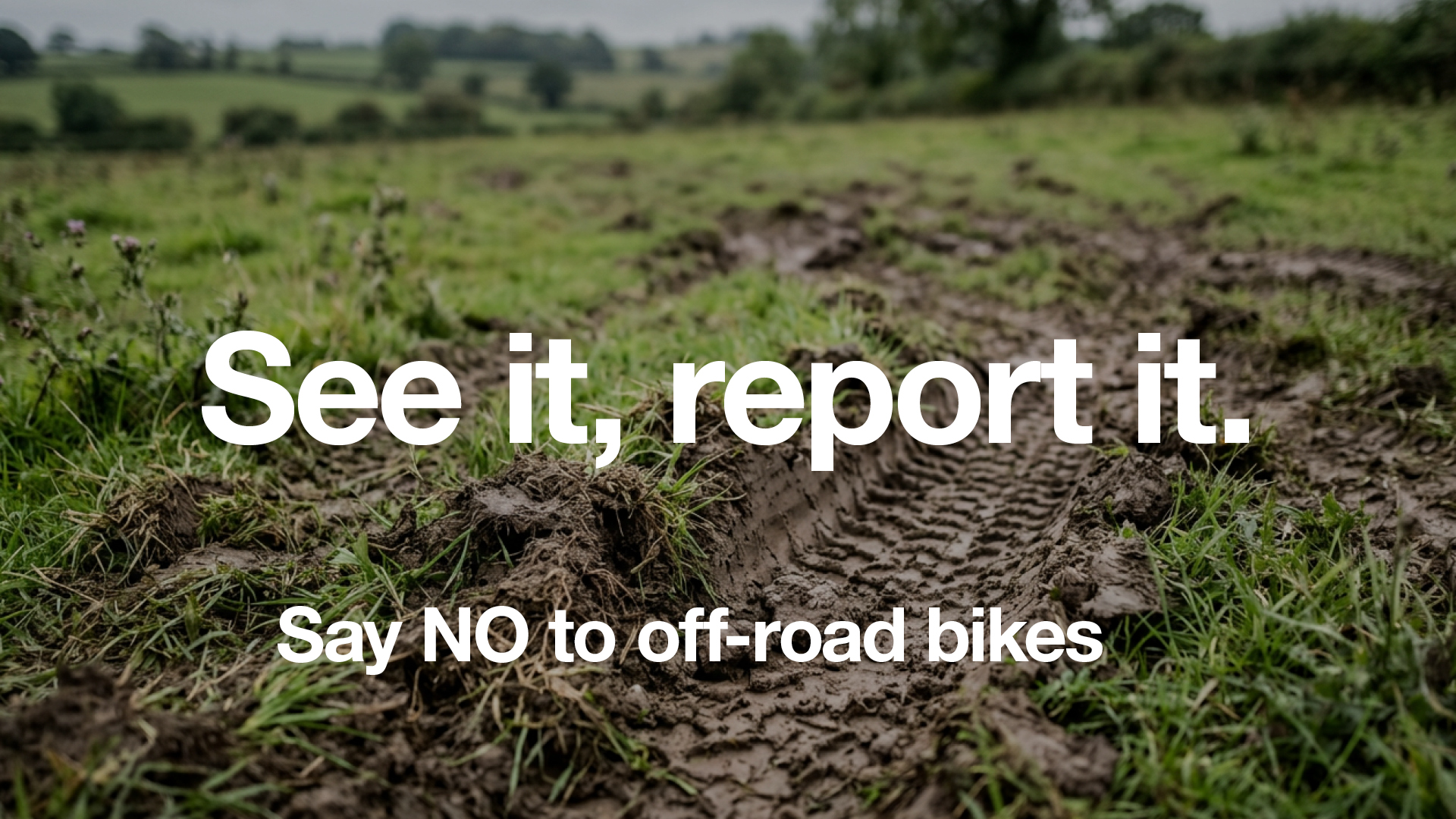 An image that reads see it, report it 