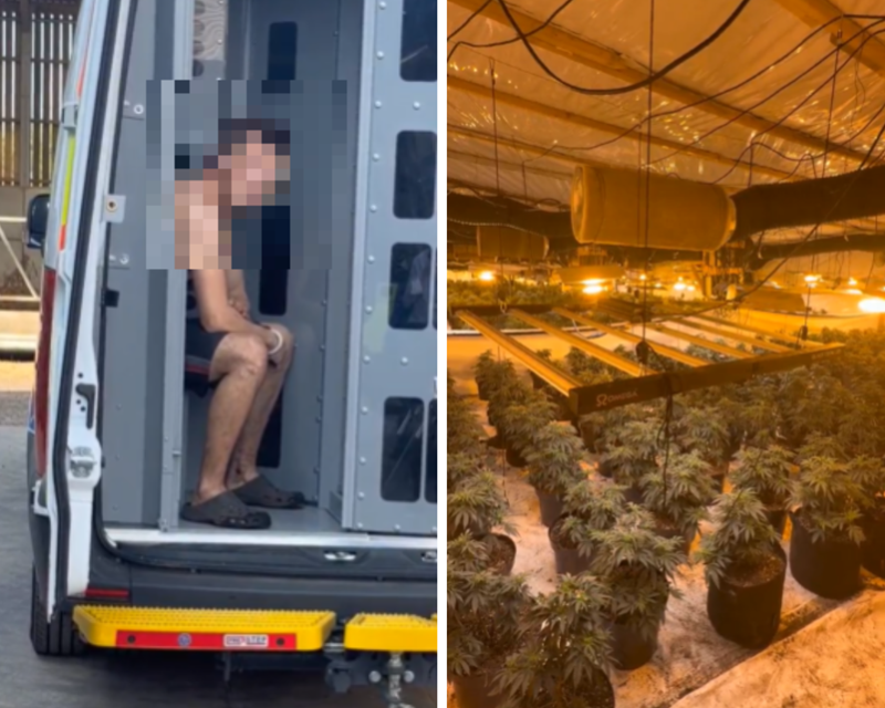 Image on left shows a topless man who has been arrested sits in a police van. His face has been blurred. Image on right shows bright lights shine on cannabis plants inside a warehouse