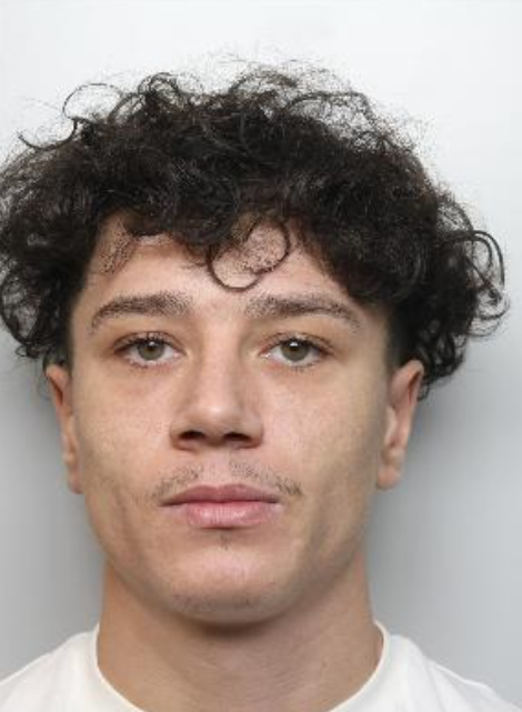 mugshot of a man with brown curly hair